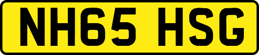NH65HSG