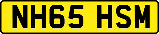 NH65HSM