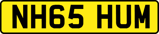 NH65HUM