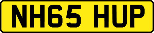 NH65HUP