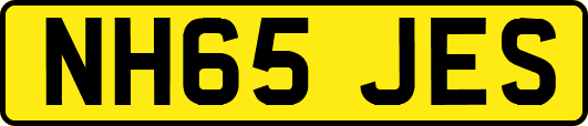 NH65JES