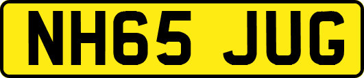 NH65JUG