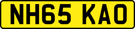 NH65KAO