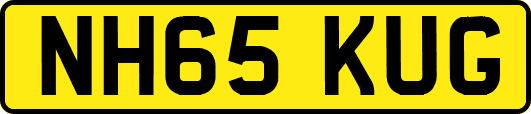 NH65KUG