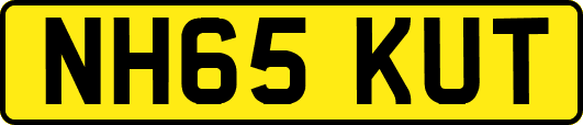 NH65KUT