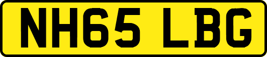 NH65LBG