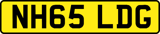 NH65LDG