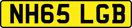 NH65LGB