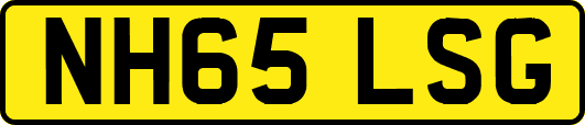 NH65LSG