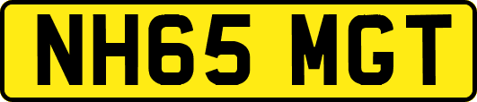 NH65MGT