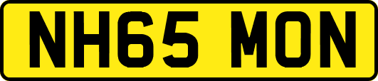 NH65MON