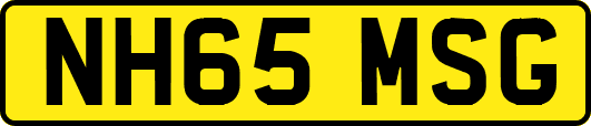 NH65MSG