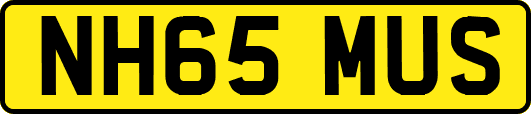 NH65MUS