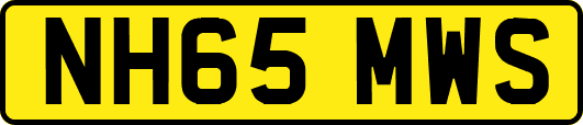 NH65MWS