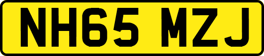 NH65MZJ