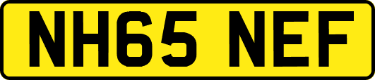 NH65NEF