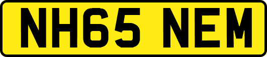 NH65NEM