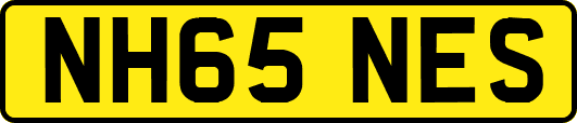 NH65NES