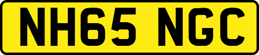 NH65NGC