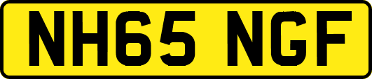 NH65NGF