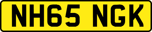 NH65NGK