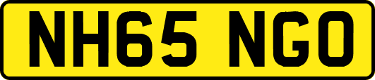 NH65NGO