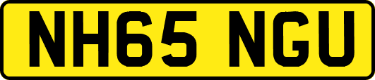 NH65NGU