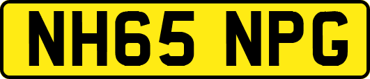 NH65NPG