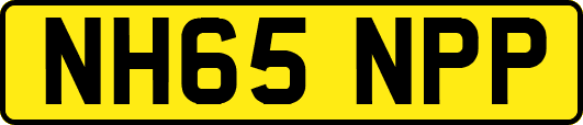 NH65NPP