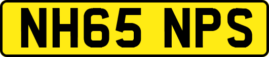 NH65NPS
