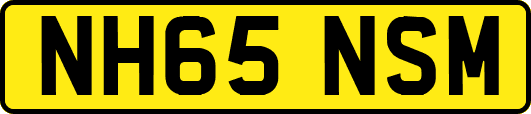 NH65NSM