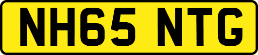 NH65NTG