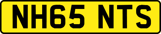 NH65NTS