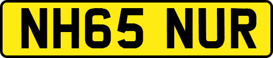 NH65NUR