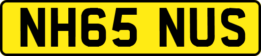 NH65NUS