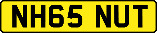 NH65NUT