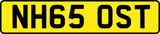 NH65OST