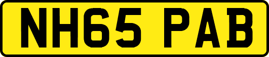 NH65PAB