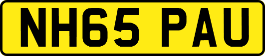 NH65PAU