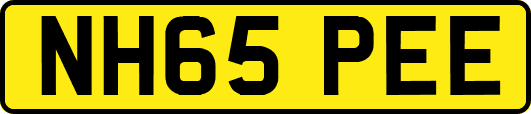 NH65PEE