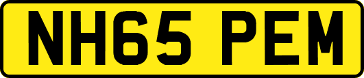 NH65PEM