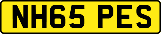 NH65PES