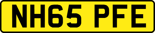 NH65PFE