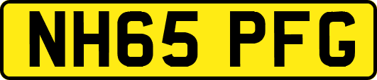 NH65PFG