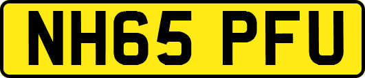 NH65PFU