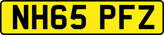 NH65PFZ