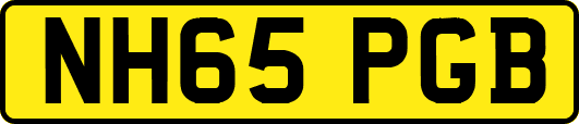 NH65PGB