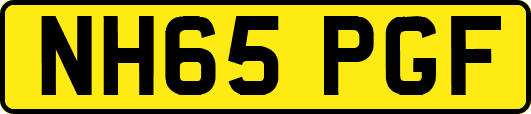 NH65PGF