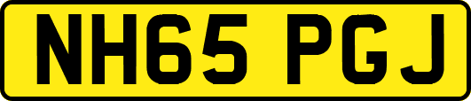 NH65PGJ