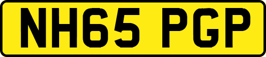 NH65PGP